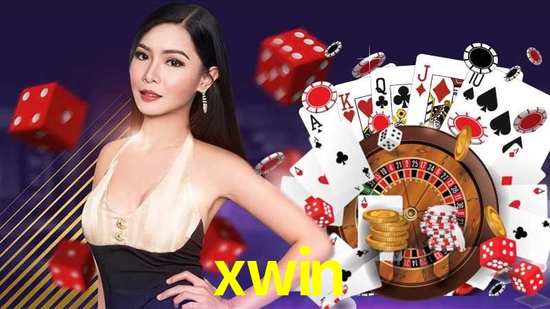 Interface Premium xwin